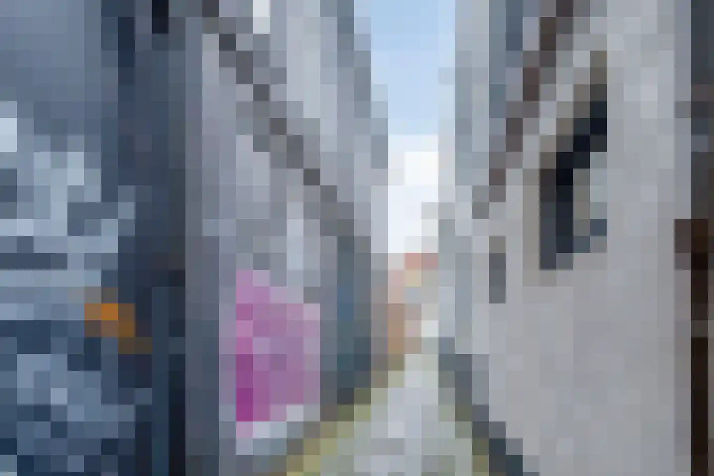 Snor Damsterdiep 6 Groningen thumbnail 35
