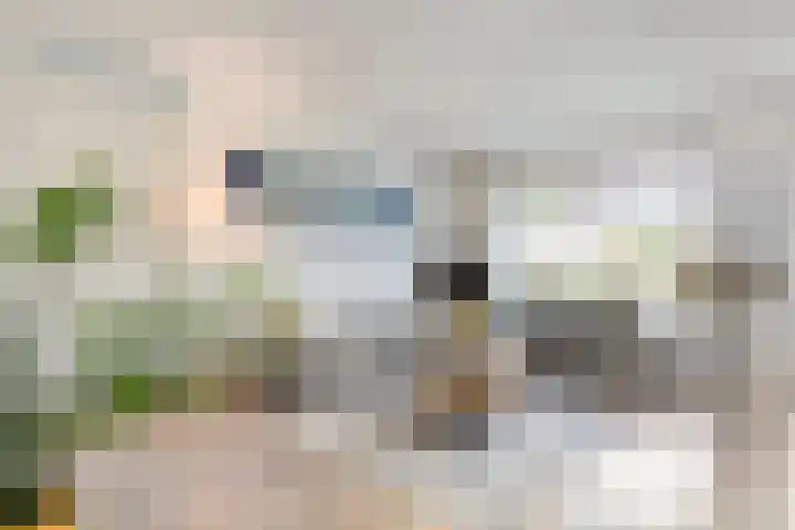 Snouck Hurgronjestraat 7 Dedemsvaart thumbnail 10