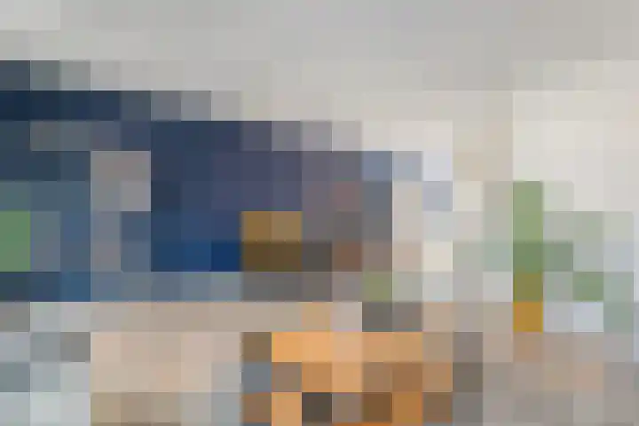 Snouck Hurgronjestraat 7 Dedemsvaart thumbnail 11