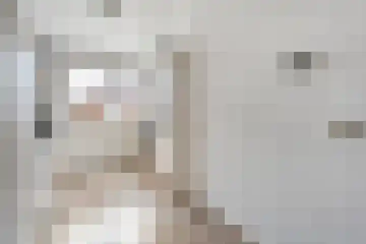 Snouck Hurgronjestraat 7 Dedemsvaart thumbnail 15