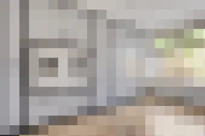 Snouck Hurgronjestraat 7 Dedemsvaart thumbnail 16