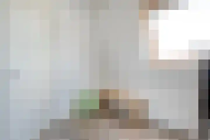 Snouck Hurgronjestraat 7 Dedemsvaart thumbnail 19