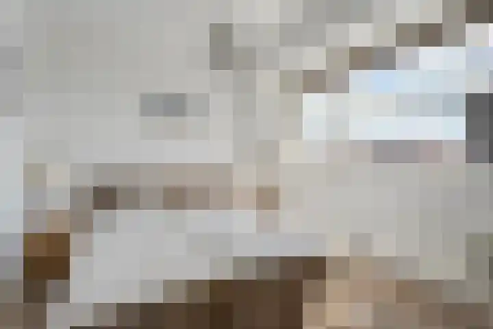 Snouck Hurgronjestraat 7 Dedemsvaart thumbnail 20