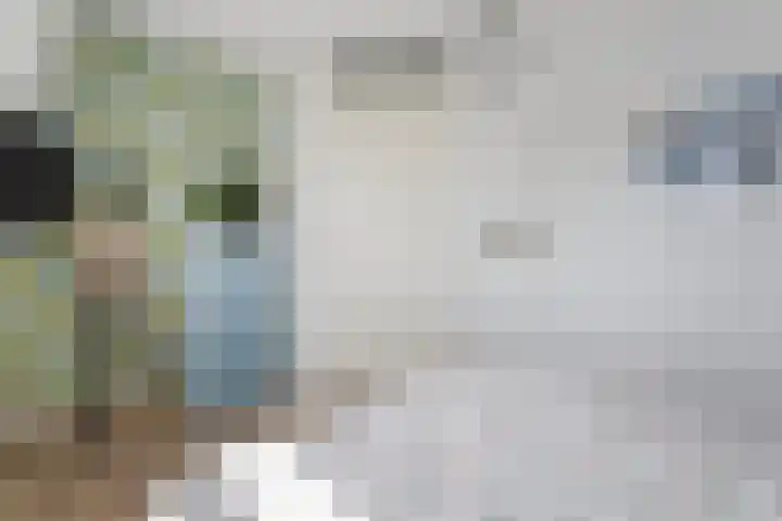 Snouck Hurgronjestraat 7 Dedemsvaart thumbnail 21