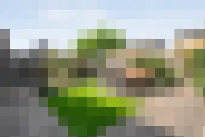 Snouck Hurgronjestraat 7 Dedemsvaart thumbnail 24