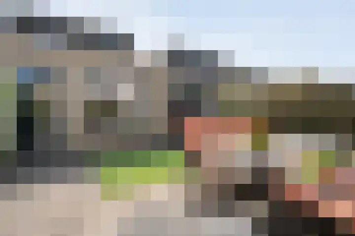 Snouck Hurgronjestraat 7 Dedemsvaart thumbnail 25