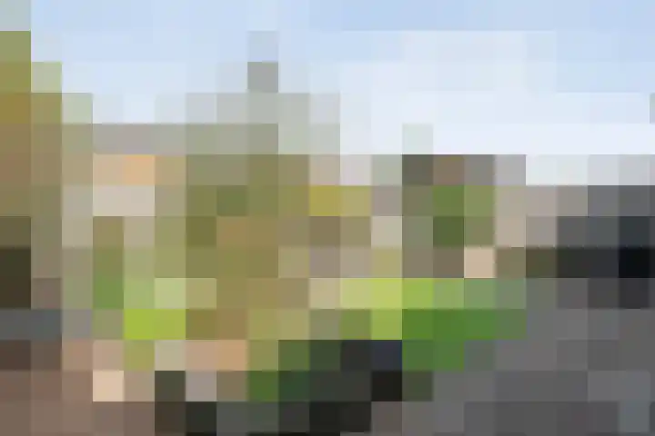 Snouck Hurgronjestraat 7 Dedemsvaart thumbnail 26