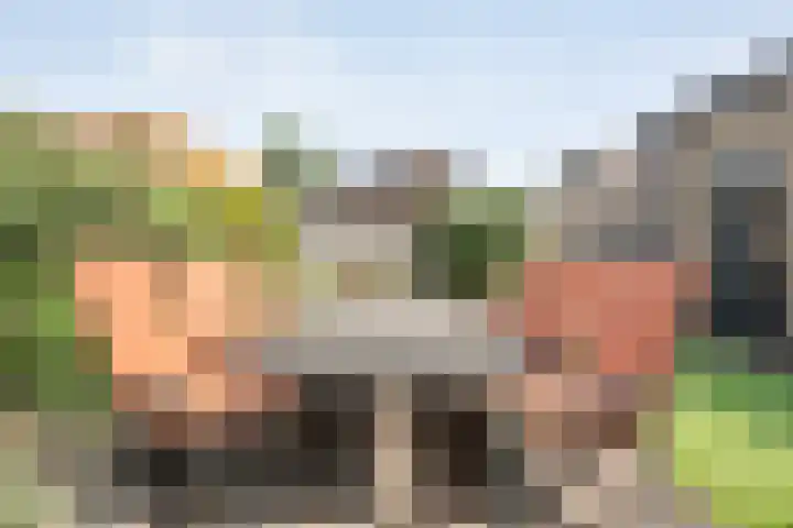 Snouck Hurgronjestraat 7 Dedemsvaart thumbnail 27