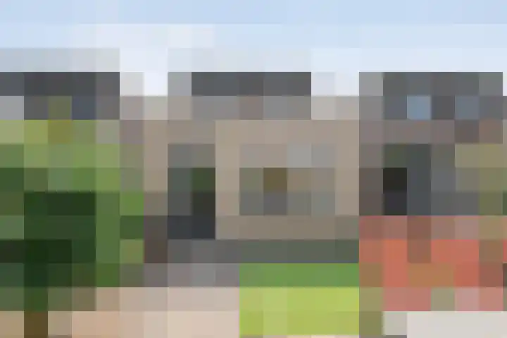 Snouck Hurgronjestraat 7 Dedemsvaart thumbnail 28