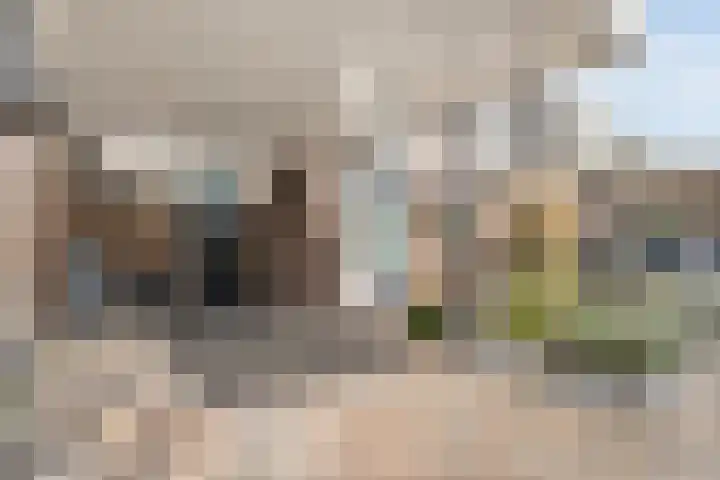 Snouck Hurgronjestraat 7 Dedemsvaart thumbnail 4