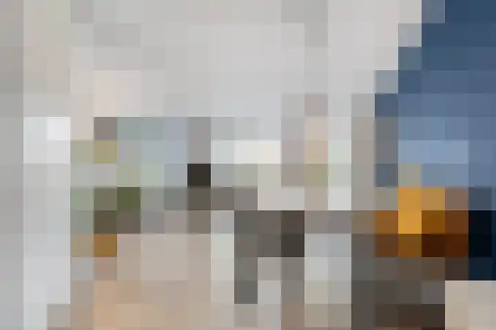 Snouck Hurgronjestraat 7 Dedemsvaart thumbnail 8