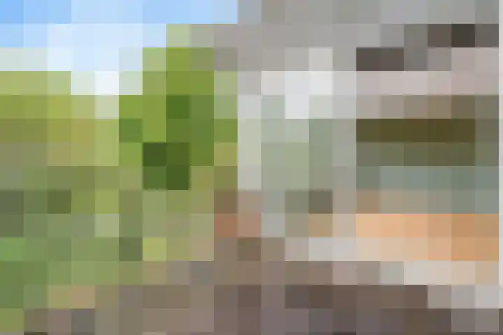 Snouckaertlaan 5 D Amersfoort thumbnail 15