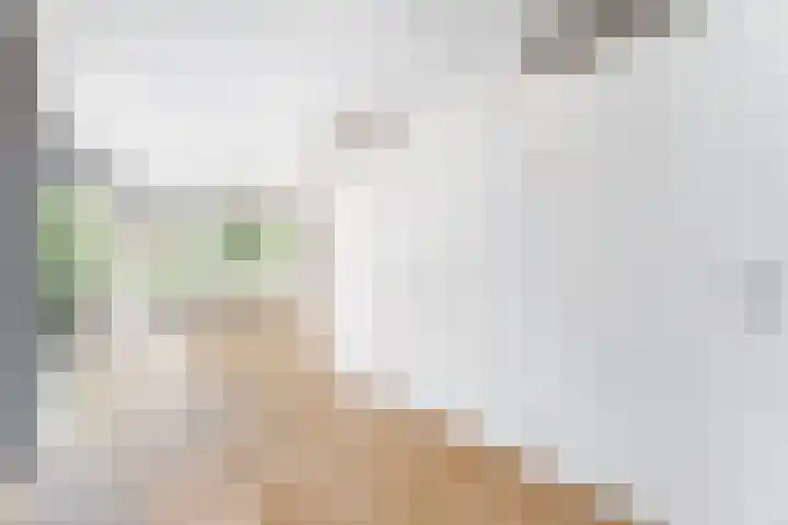 Snouckaertlaan 5 D Amersfoort thumbnail 19
