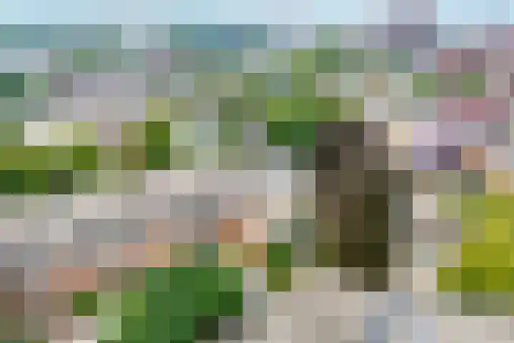 Snouckaertlaan 5 D Amersfoort thumbnail 27
