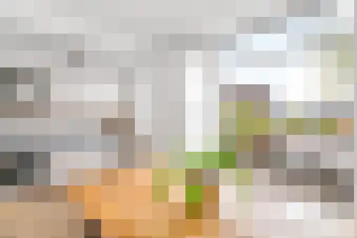 Snouckaertlaan 52 Amersfoort thumbnail 10