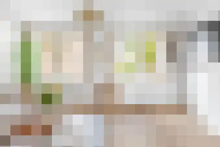 Snouckaertlaan 52 Amersfoort thumbnail 4