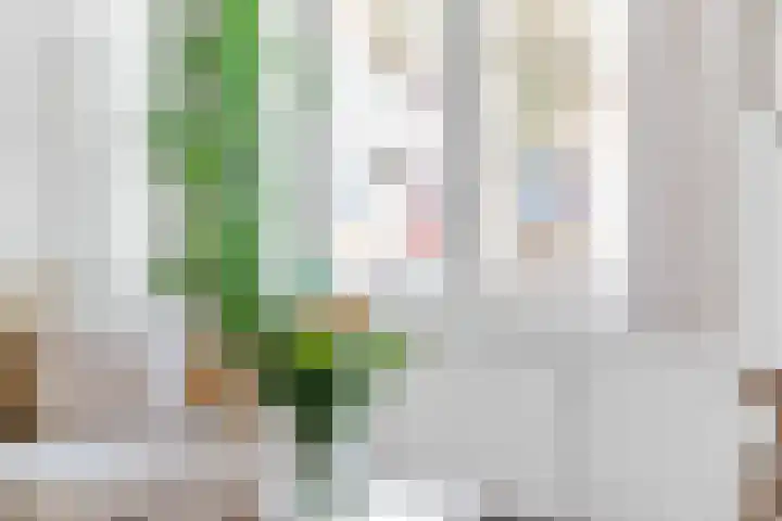 Snouckaertlaan 52 Amersfoort thumbnail 5