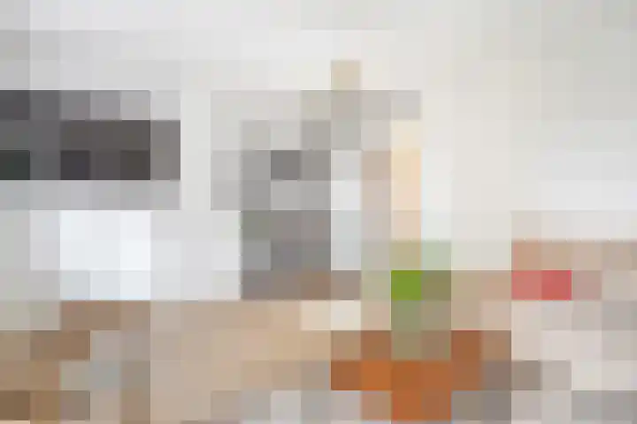 Snouckaertlaan 52 Amersfoort thumbnail 7