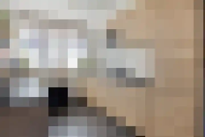 Snoystraat 58 Gouda thumbnail 8