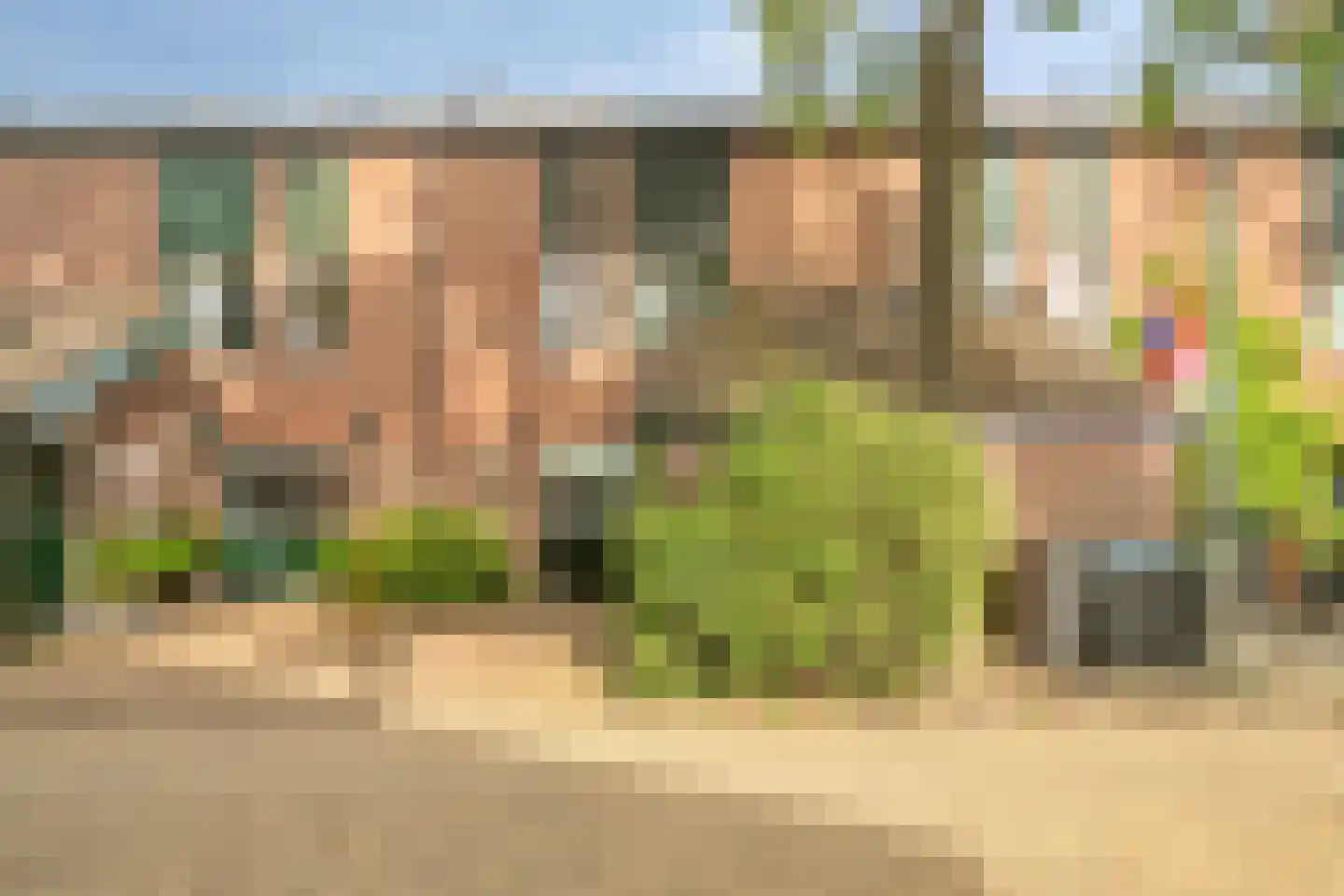 Snuifmolen 7 Koog aan de Zaan