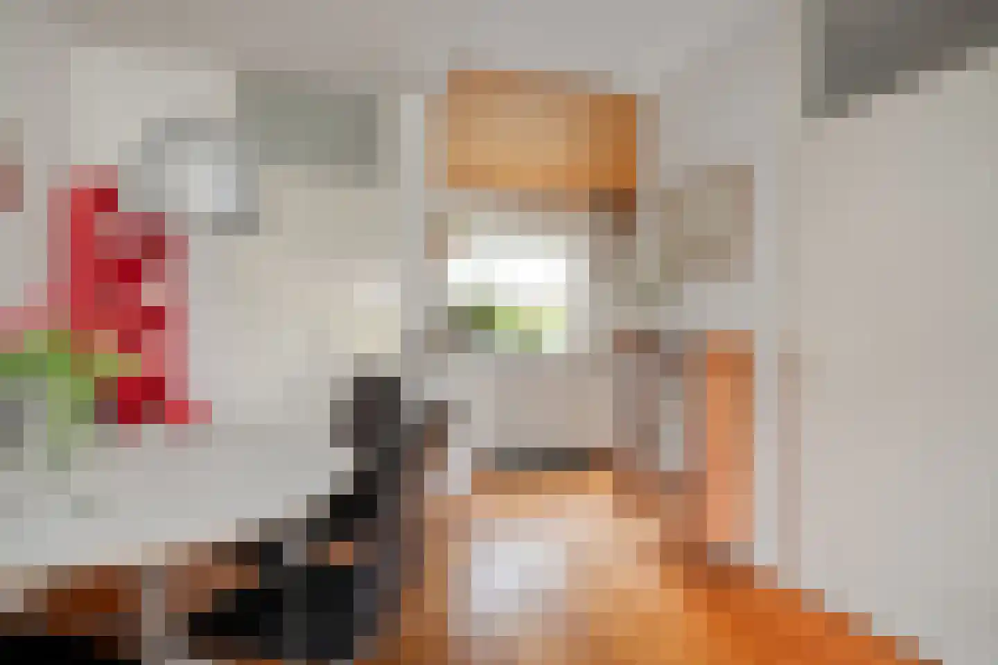 Snuifmolen 7 Koog aan de Zaan thumbnail 11