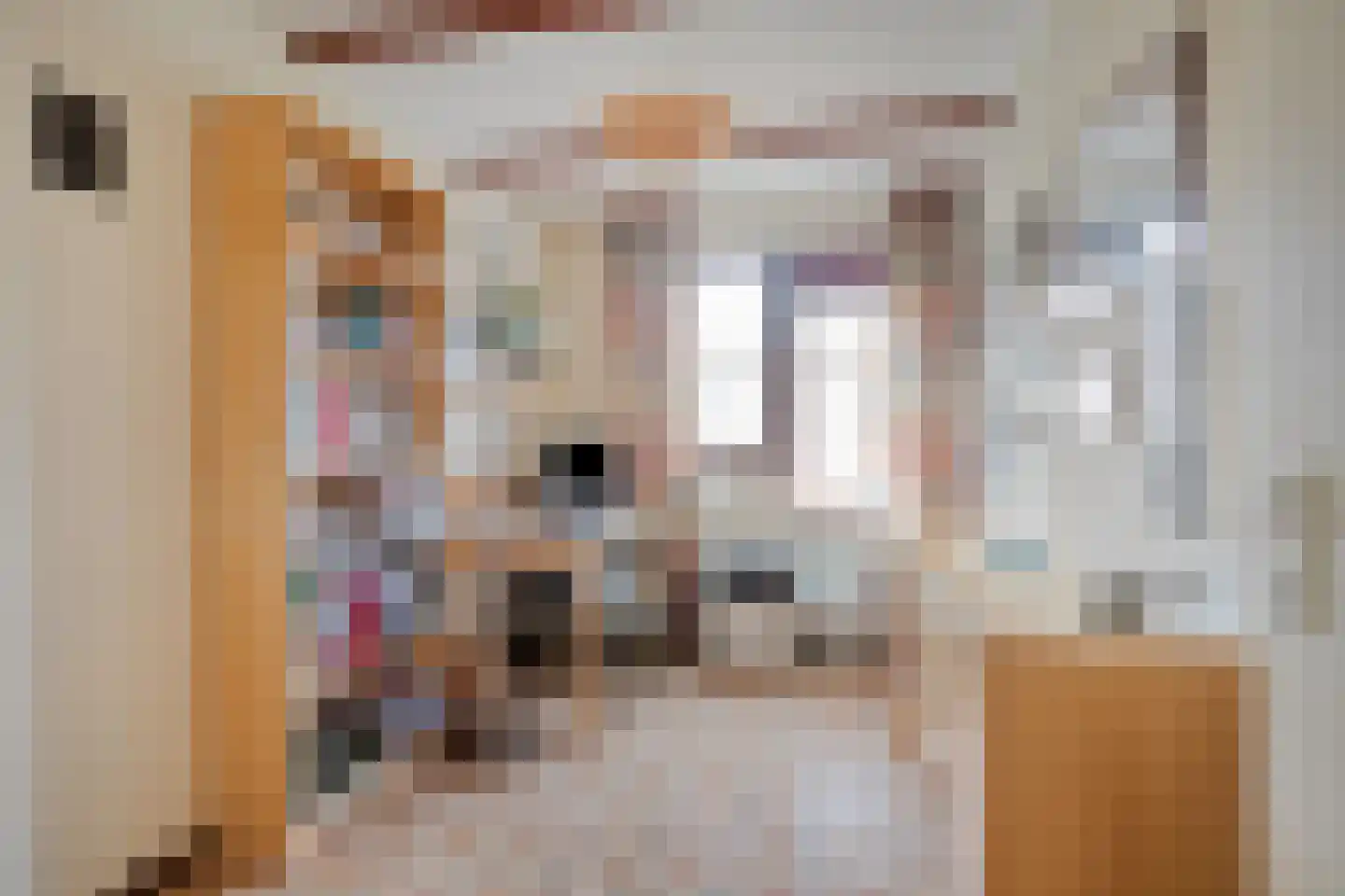 Snuifmolen 7 Koog aan de Zaan thumbnail 14
