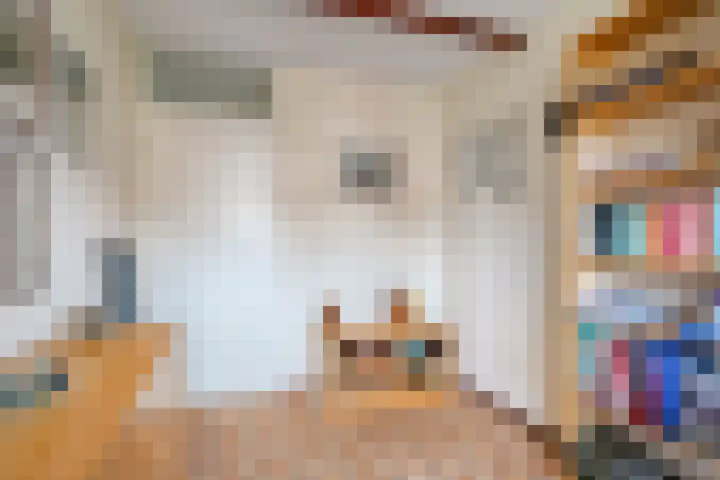 Snuifmolen 7 Koog aan de Zaan thumbnail 15