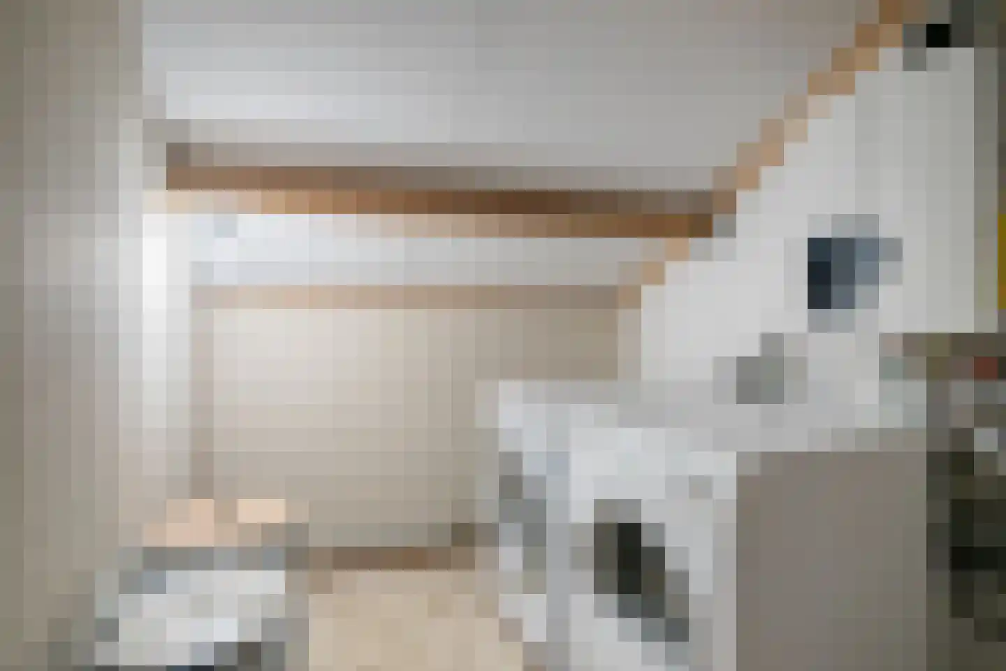Snuifmolen 7 Koog aan de Zaan thumbnail 26