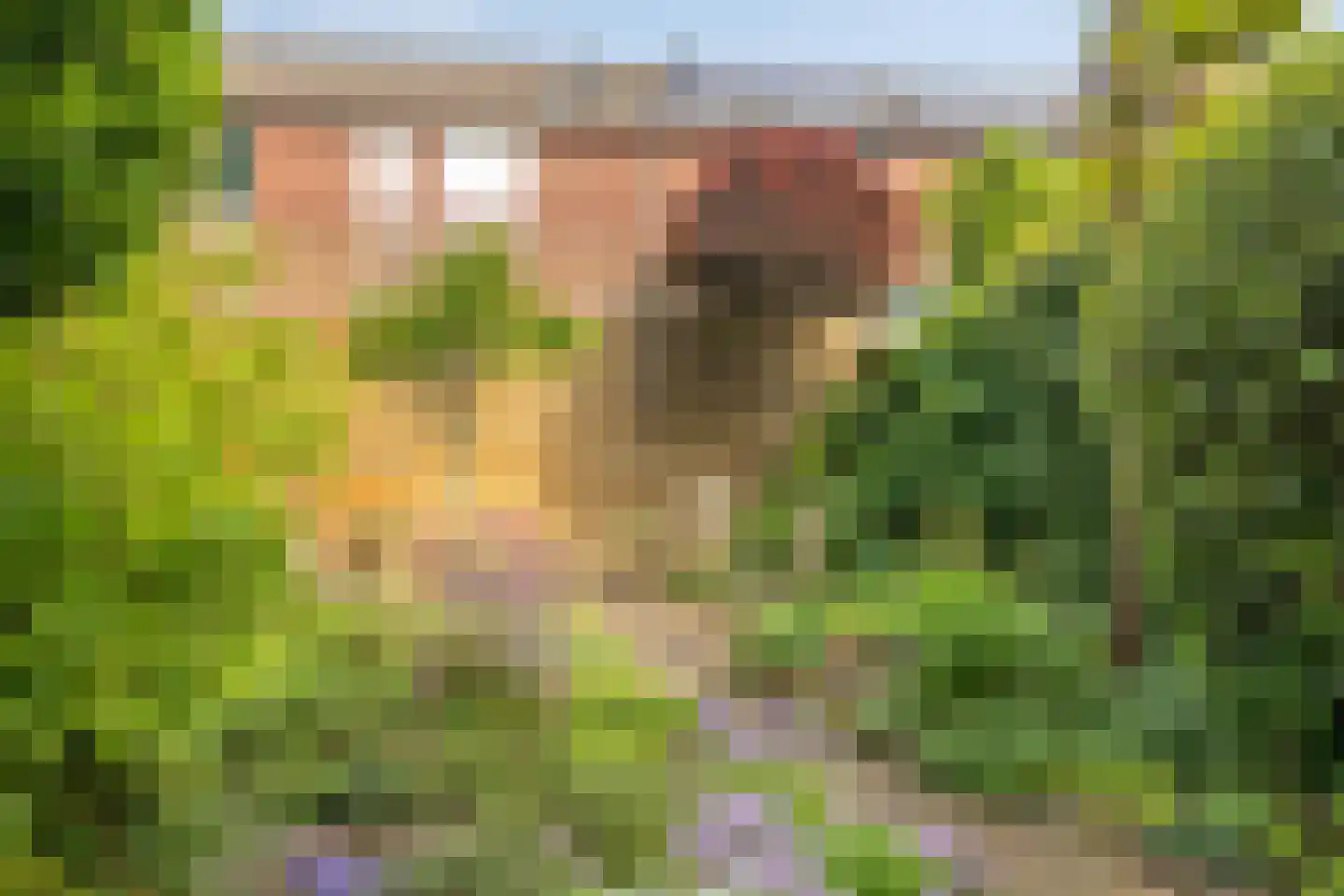 Snuifmolen 7 Koog aan de Zaan thumbnail 28