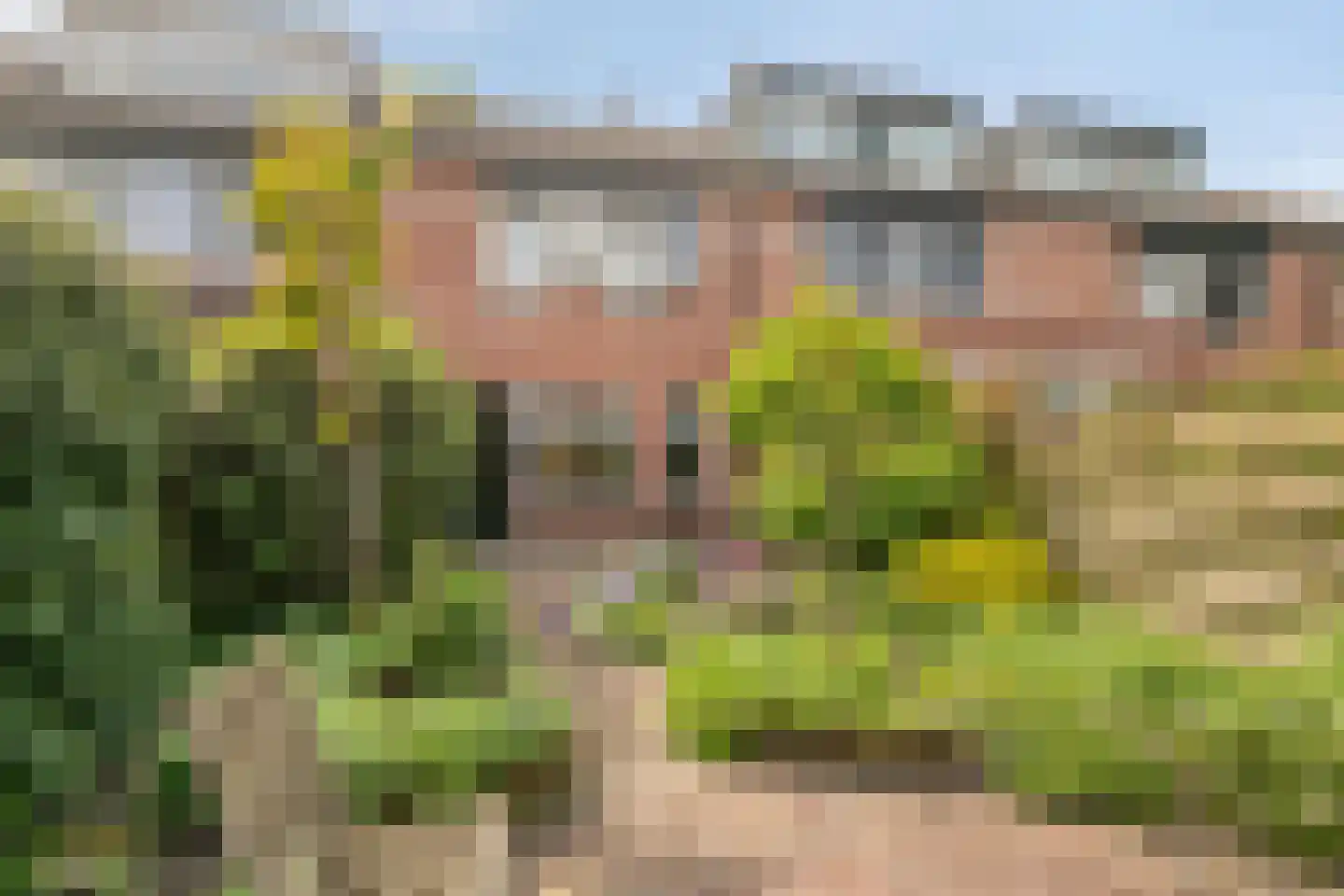 Snuifmolen 7 Koog aan de Zaan thumbnail 29