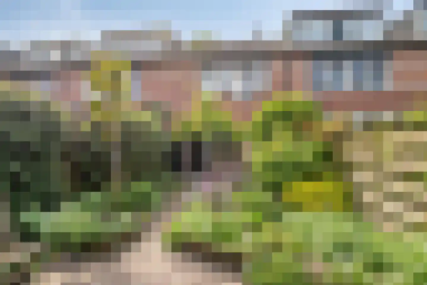 Snuifmolen 7 Koog aan de Zaan thumbnail 30