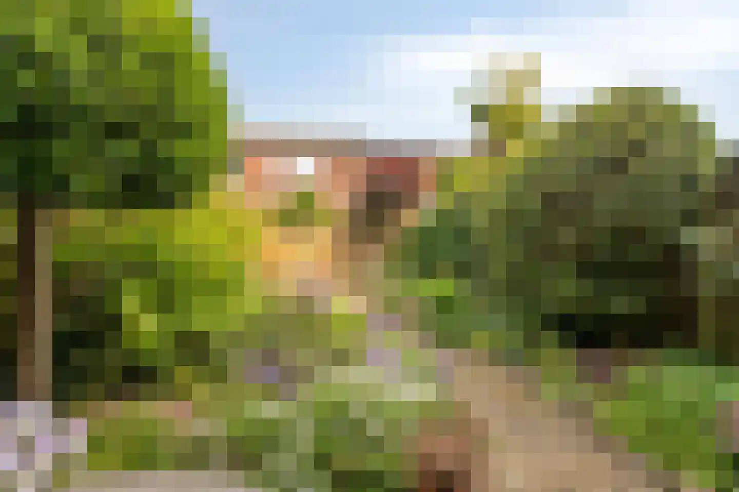 Snuifmolen 7 Koog aan de Zaan thumbnail 4