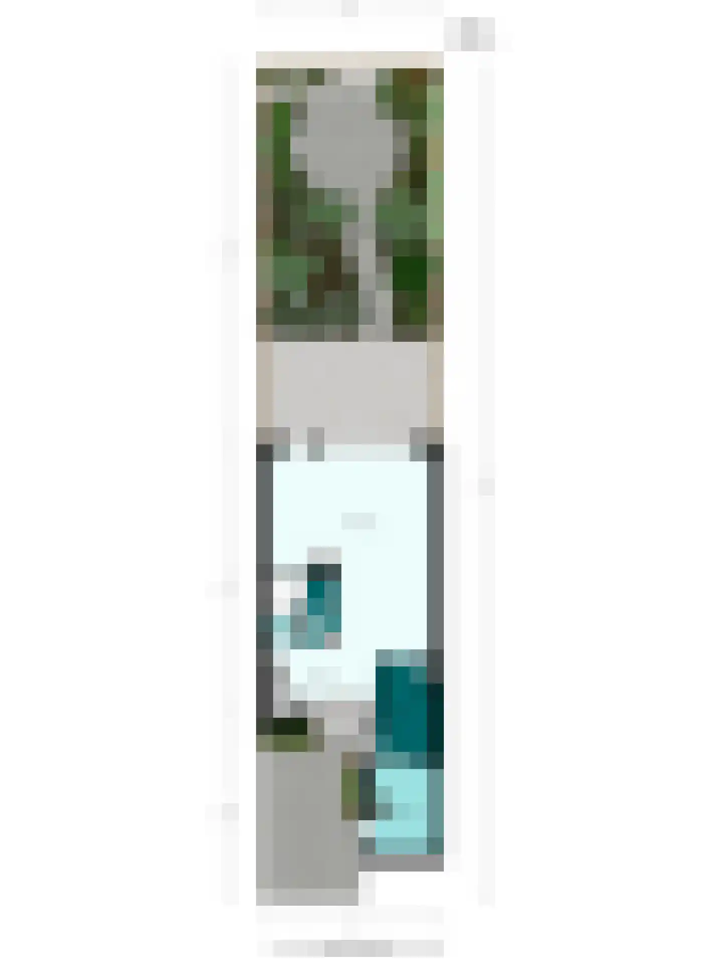 Snuifmolen 7 Koog aan de Zaan thumbnail 40