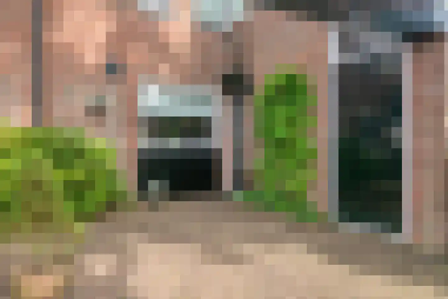 Snuifmolen 7 Koog aan de Zaan thumbnail 5