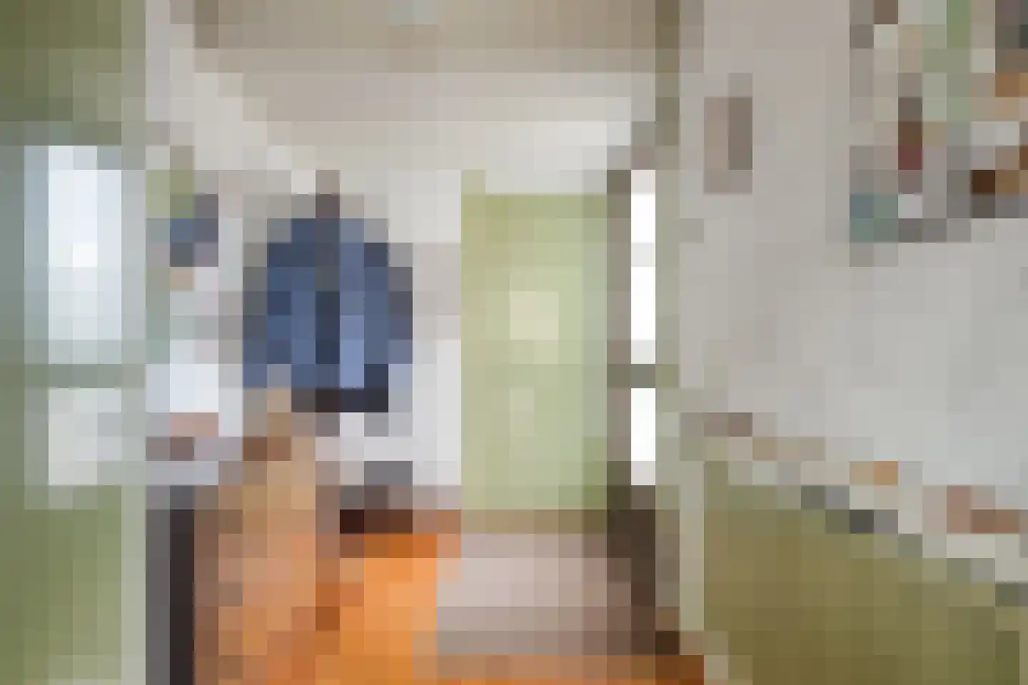 Snuifmolen 7 Koog aan de Zaan thumbnail 6