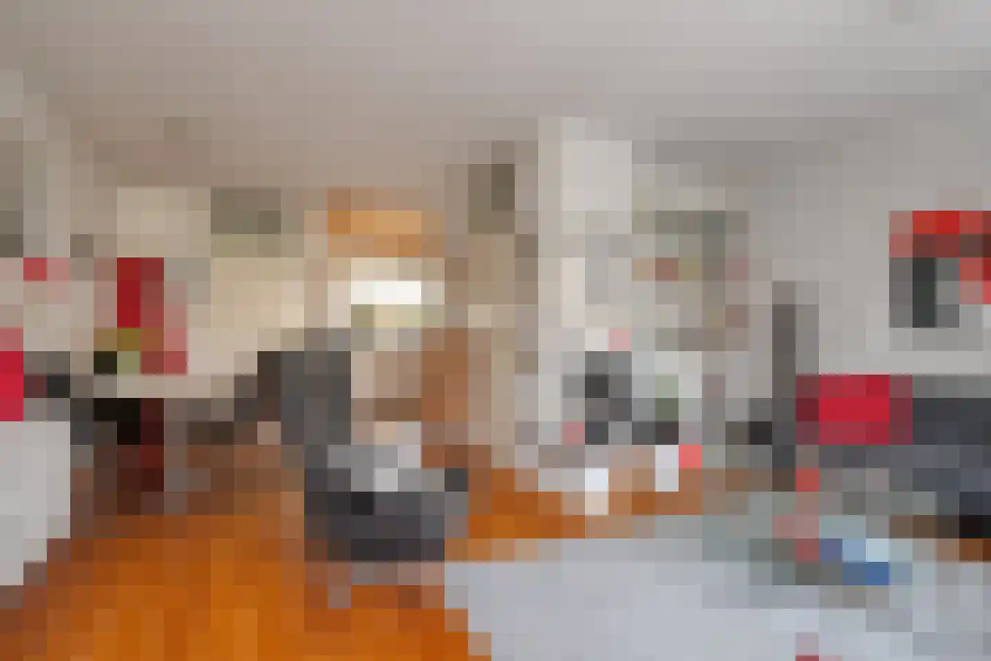 Snuifmolen 7 Koog aan de Zaan thumbnail 8