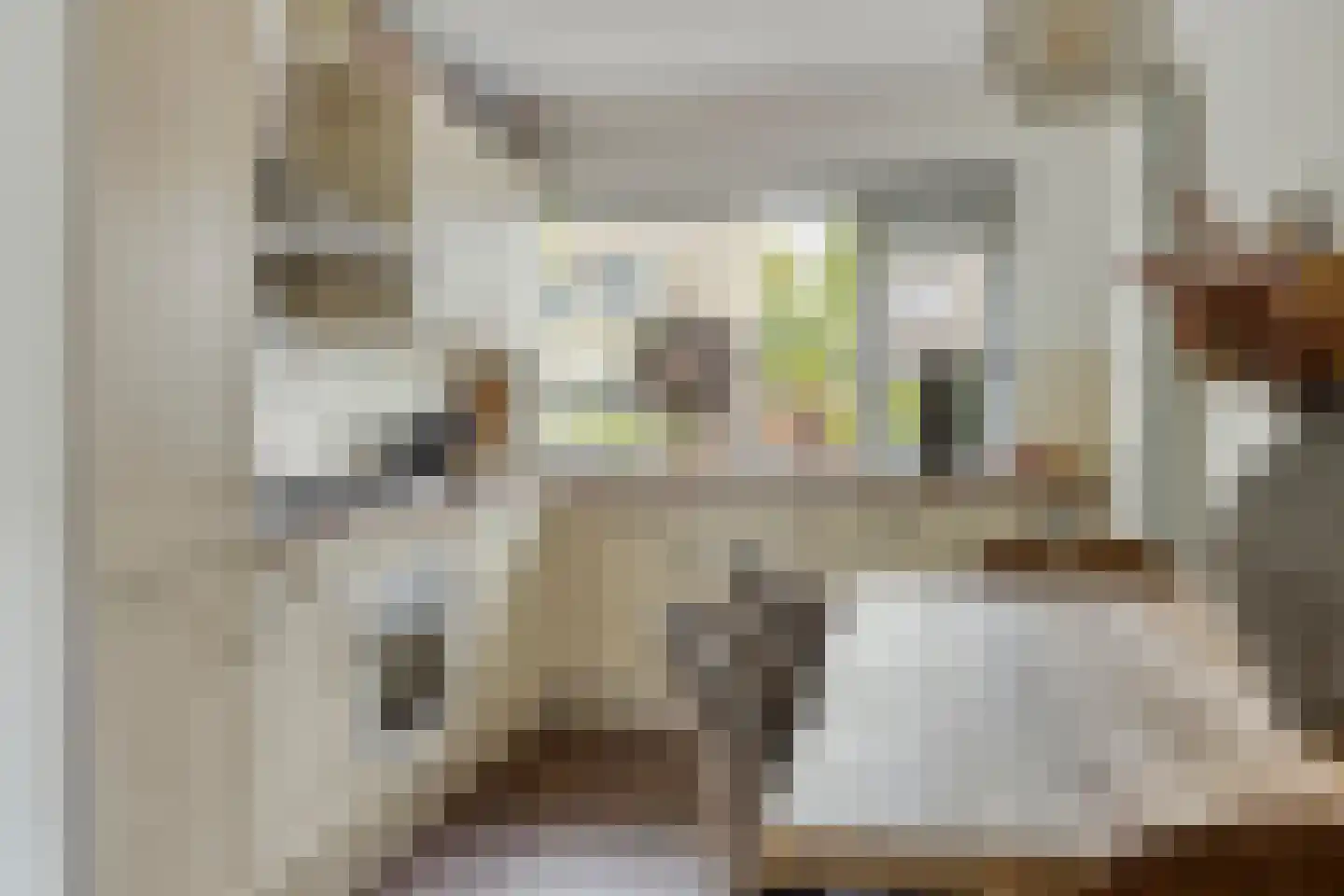 Snuifmolenerf 35 Gouda thumbnail 10