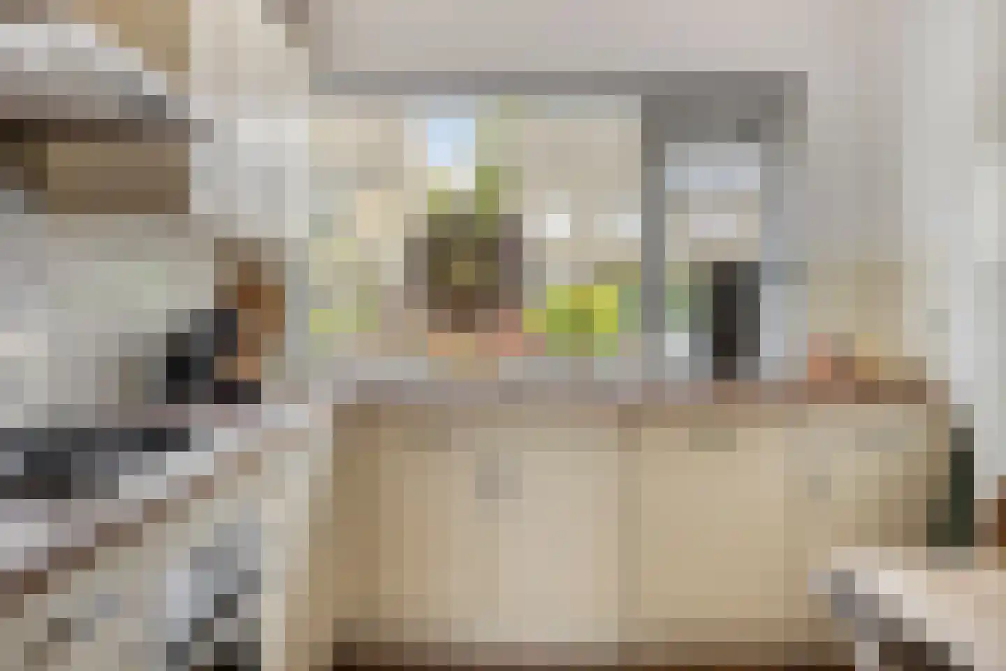 Snuifmolenerf 35 Gouda thumbnail 11