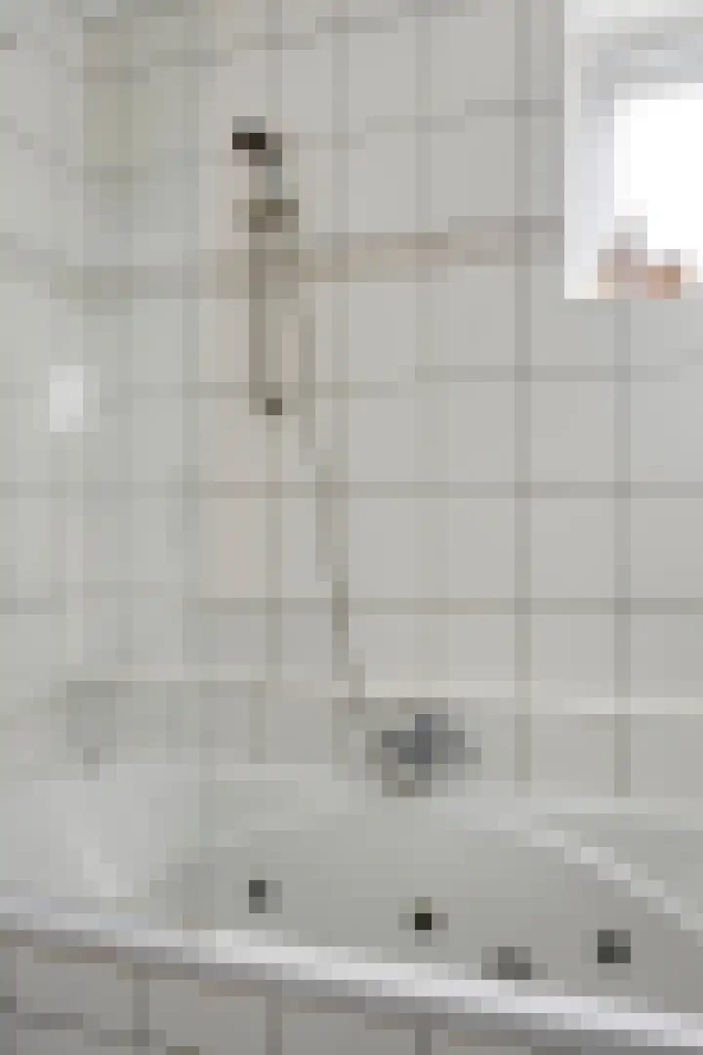 Snuifmolenerf 35 Gouda thumbnail 27