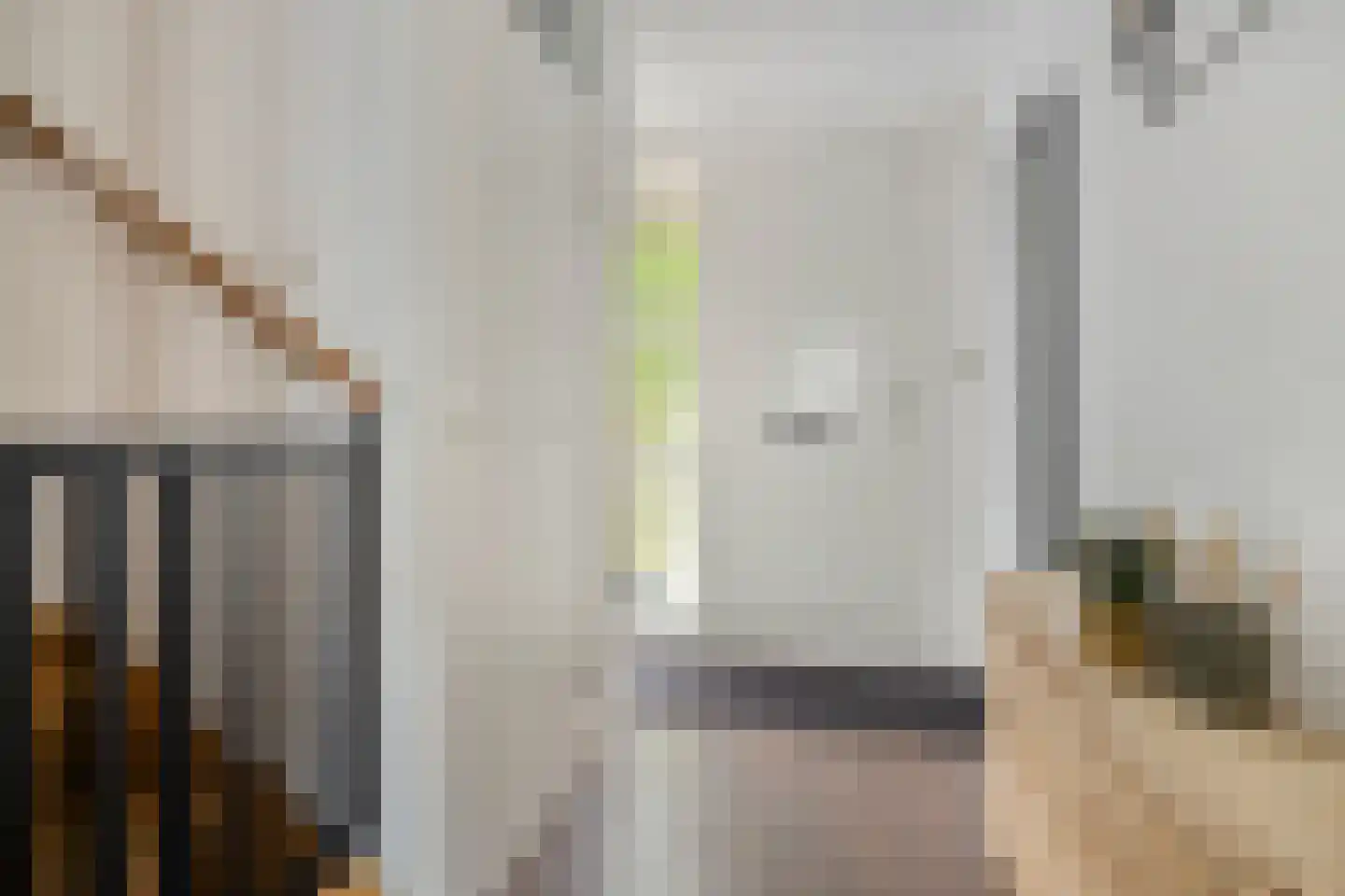 Snuifmolenerf 35 Gouda thumbnail 4