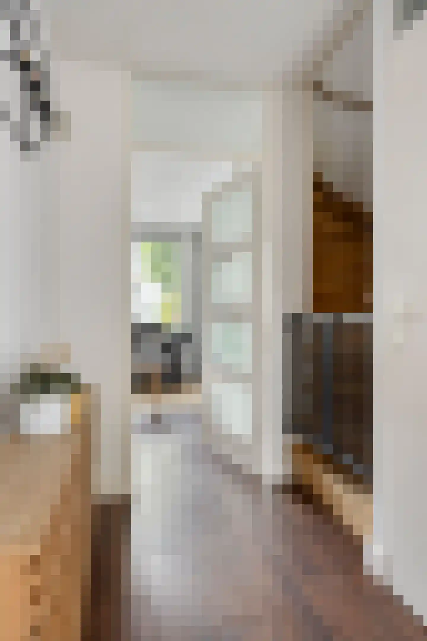 Snuifmolenerf 35 Gouda thumbnail 5