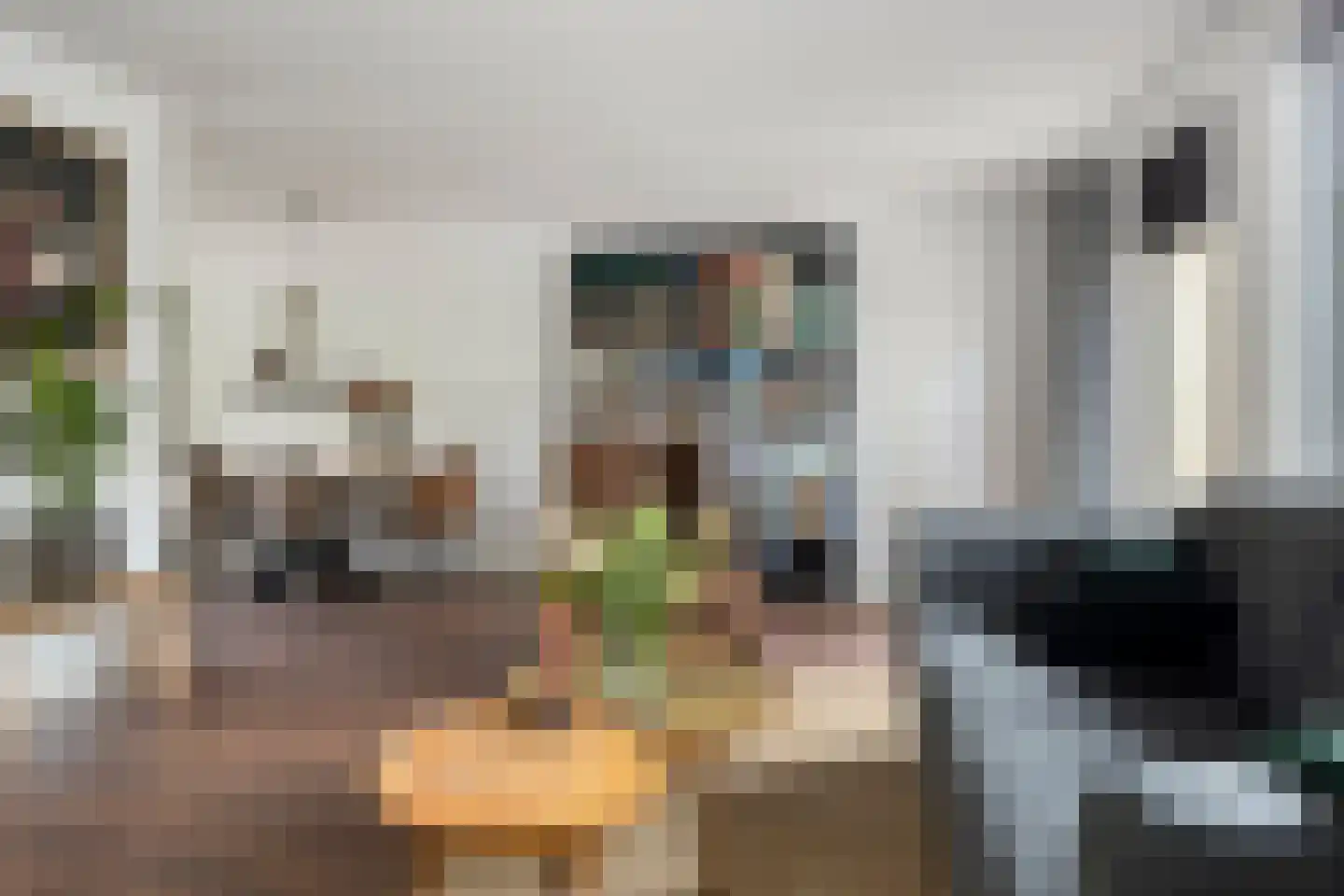 Snuifmolenerf 35 Gouda thumbnail 7