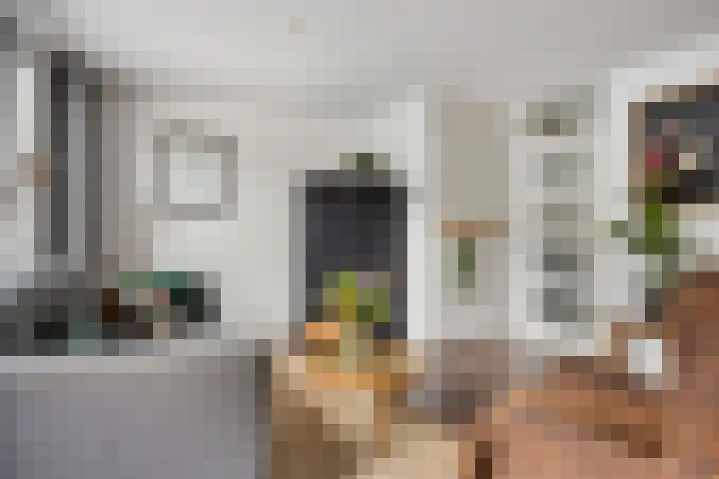 Snuifmolenerf 35 Gouda thumbnail 8