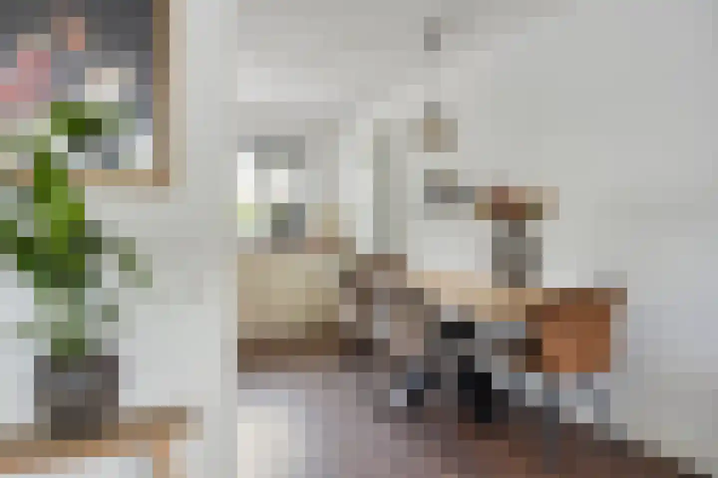 Snuifmolenerf 35 Gouda thumbnail 9