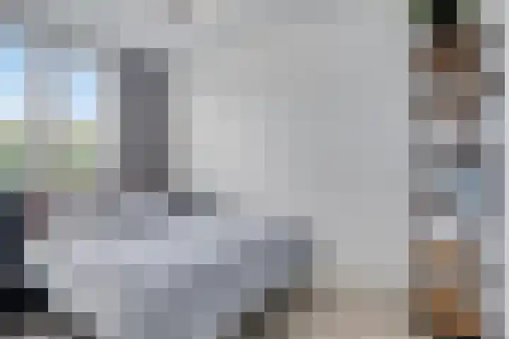 Snuitlibel 5 Son en Breugel thumbnail 18