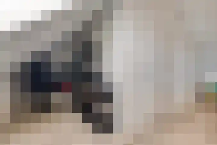Snuitlibel 5 Son en Breugel thumbnail 26