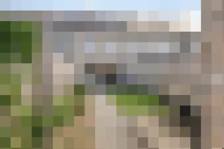 Snuitlibel 5 Son en Breugel thumbnail 30