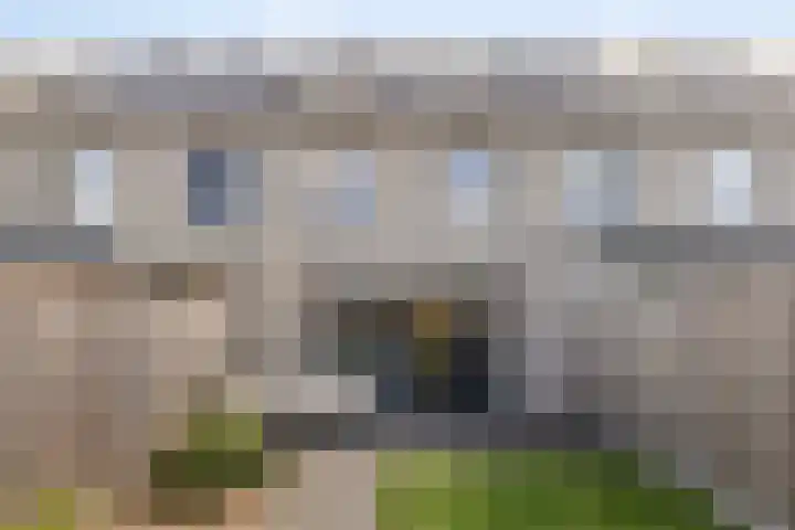 Snuitlibel 5 Son en Breugel thumbnail 31