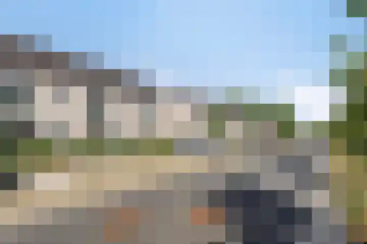 Snuitlibel 5 Son en Breugel thumbnail 34