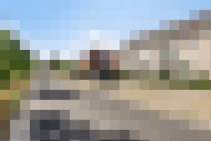 Snuitlibel 5 Son en Breugel thumbnail 35